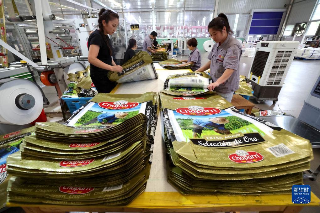 da大宝游戏下载大全